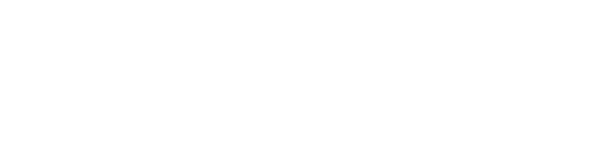 Lloyds-Bank-Foundation-Logo-light